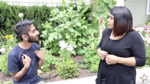 Blog 4 where can i learn asl for free